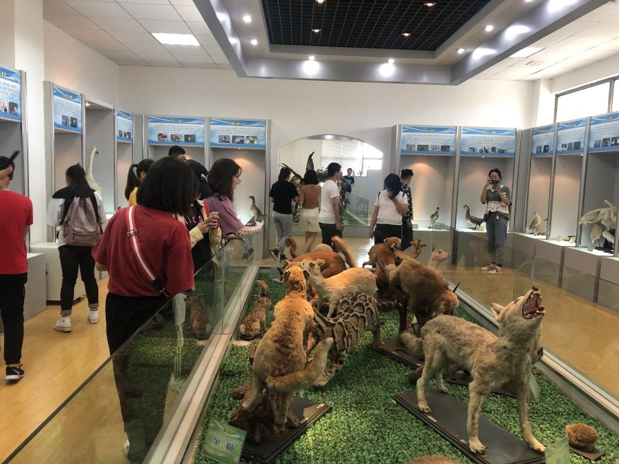 1570582623163779.jpg 1570582623163779.jpg